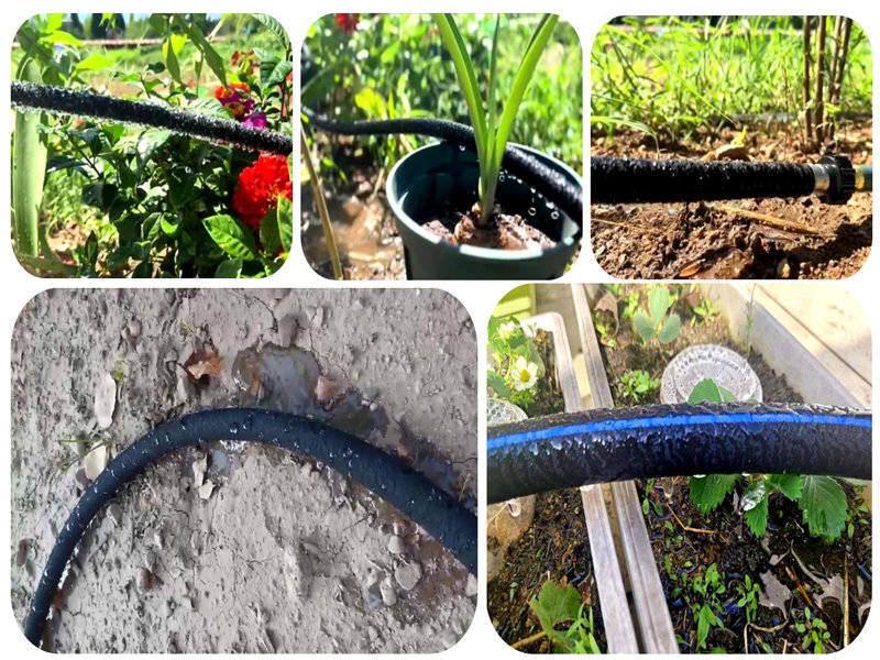 Применение ирригационной трубы нано просачивания при орошении песчаной почвы